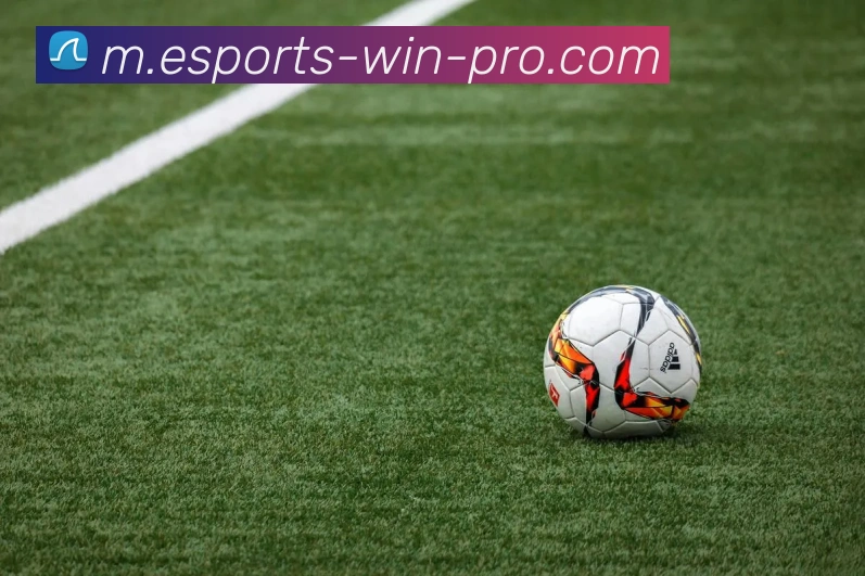 电竞博彩平台生态图